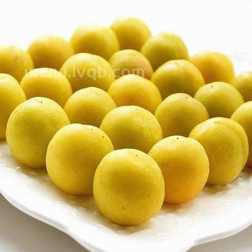 新疆小白杏的杏仁可以吃吗(小白杏的功效与作用)