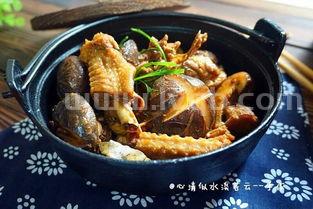 炖大鹅最正宗的做法(怎么炖大鹅好吃)