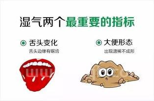 汗蒸可以去湿气排毒吗(汗蒸能去除体内湿气吗)