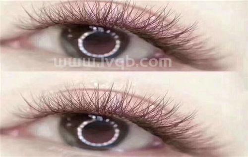 睫毛嫁接能维持多久 (美睫毛能保持多久)