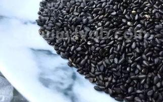 核桃黑芝麻饼制作方法(核桃芝麻饼)