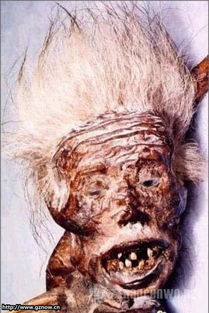 美人鱼是真实存在的吗(一条真实美人鱼)