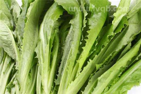 油麦菜和莴笋叶的区别,油麦菜和莴笋叶是不是同一种菜