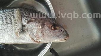 红鲳鱼小刺多吗,怎么做好吃(红鲳鱼刺多吗)