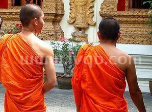 假行僧和苦行僧分别是什么意思 他们有区别吗 (苦行僧是什么意思啊)