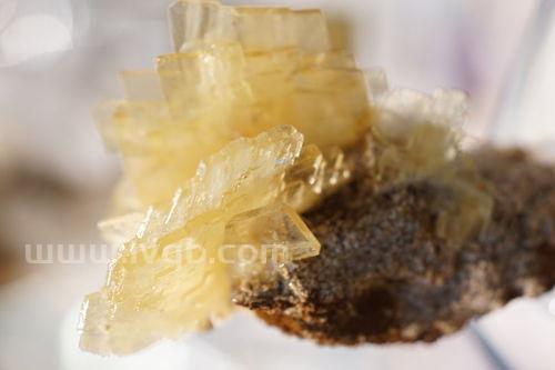 怎样泡发花胶,花胶怎么样泡发