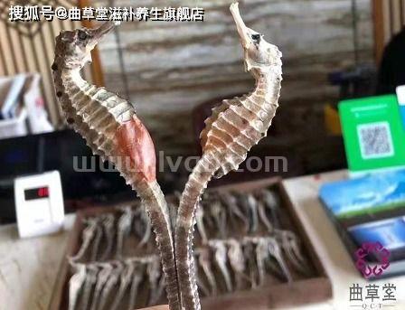 请问海马炖什么可以补肾壮阳(海马怎样吃最补肾壮阳)