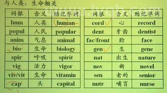 titoni是什么语 简析一下词根词缀(titoni)