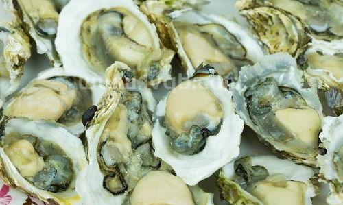 生蚝煮多久才熟,生蚝要煮多久才熟