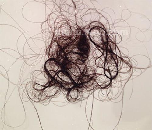 头发属于什么垃圾头发属于哪类垃圾