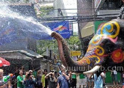 傣族泼水节是几月几号泼水节是几月几号