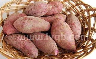 红薯的热量高不高 减肥人士可以吃吗 (减肥能吃红薯吗)