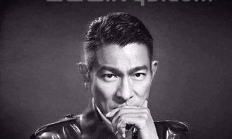 刘德华个人简历,刘德华个人简历