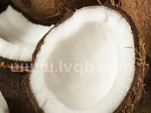 椰子肉能吃吗 (青椰子肉能吃吗)