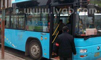 公交车价格,一辆公交车的价格是多少?听说很贵?