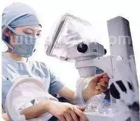 子宫怎么保养最好女人保养子宫的方法有哪些