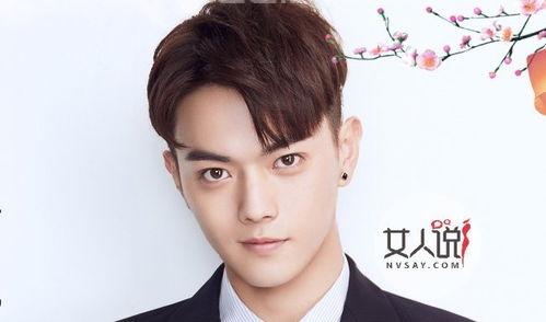 揭其个人资料简介许凯是广东哪里人(许凯个人资料)