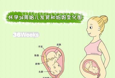 怎么会怀上孩子,怎样能快速怀上宝宝