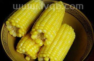 煮玉米要煮多久玉米一般煮几分钟