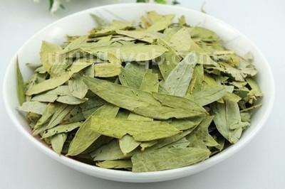 番泻叶怎么喝(番泻叶的正确服用方法)