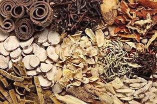 什么中药可以降糖哪些中药可以降血糖