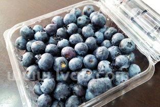 蓝莓不洗可以吃吗蓝莓要洗吗