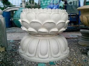 莲花的吉祥寓意四合茗苑取名有什么独特含义