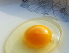 绿色的鸡蛋,鸡蛋绿了还能吃吗