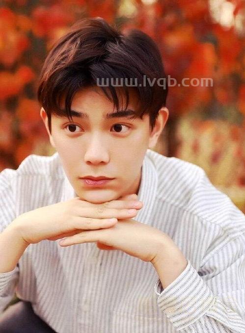 丁禹兮个人资料介绍(丁禹兮个人资料)