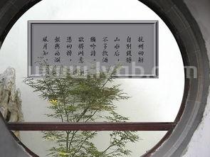 可远观而不可亵玩焉是什么意思只可远观而不可亵玩焉什么意思