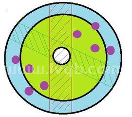 波龙怎么清洗(波龙怎么处理)