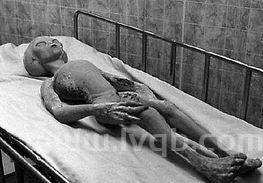 外星人真实图片,没有人见过外星人,他到底长什么样子?