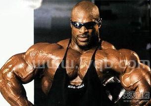 史上最强的肌肉男为什么不参加世界拳王争霸赛(史上最强肌肉男)