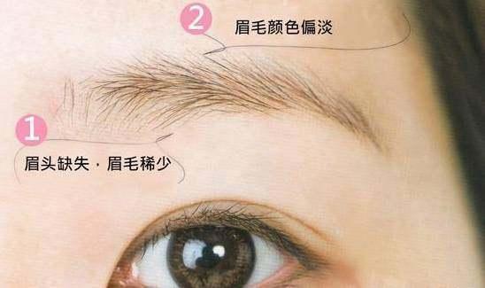 眉型图片大全,最好看的十种眉毛