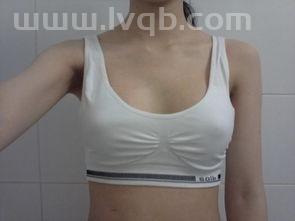 女性胸部有哪几种分类 (女人的胸的图片)