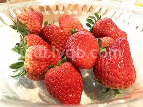 如何清洗草莓正确清洗草莓的方法