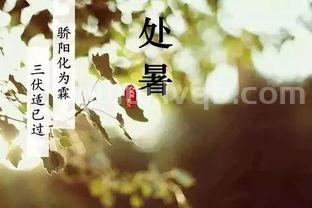 处暑是什么季节处暑是什么节气