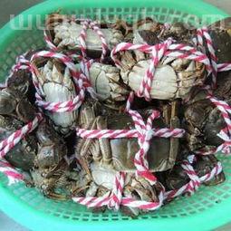 蟹黄酱怎么吃螃蟹酱怎么做好吃