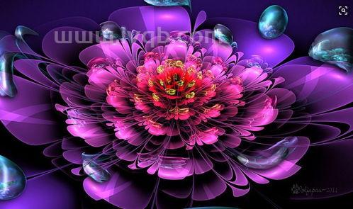 二月开什么花2月开的花有哪些