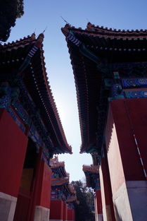 国子监是哪个朝代国子监是中国古代的中央官学,它始于哪个朝代