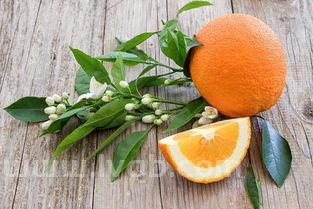 蒸橙子怎么蒸啊(蒸橙子蒸多久)